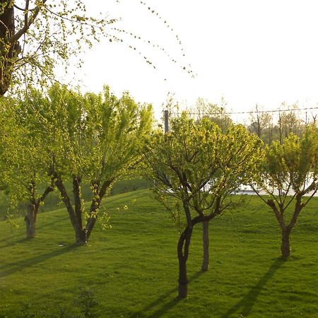 Agriturismo Feliciana Поццоленґо Екстер'єр фото