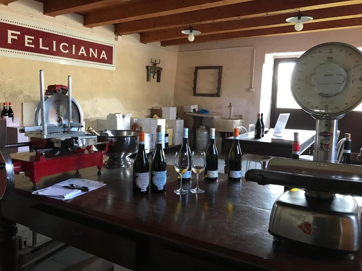 Agriturismo Feliciana Поццоленґо Екстер'єр фото