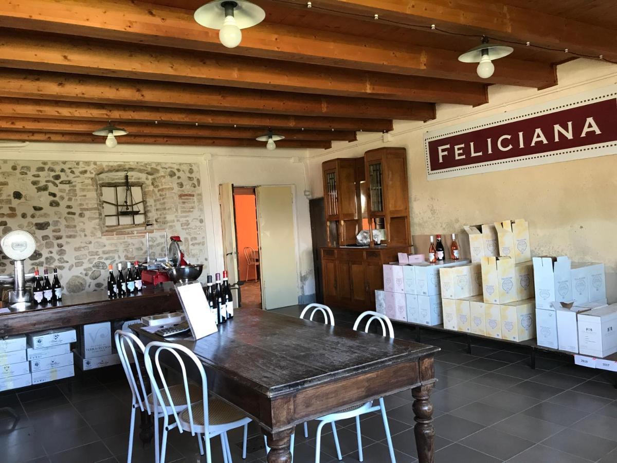 Agriturismo Feliciana Поццоленґо Екстер'єр фото