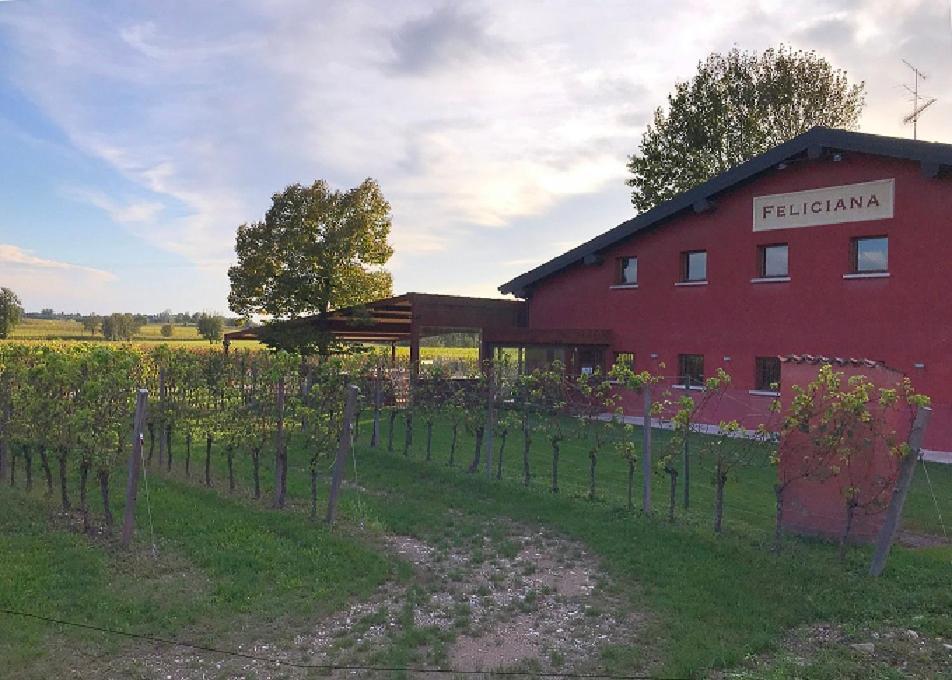 Agriturismo Feliciana Поццоленґо Екстер'єр фото
