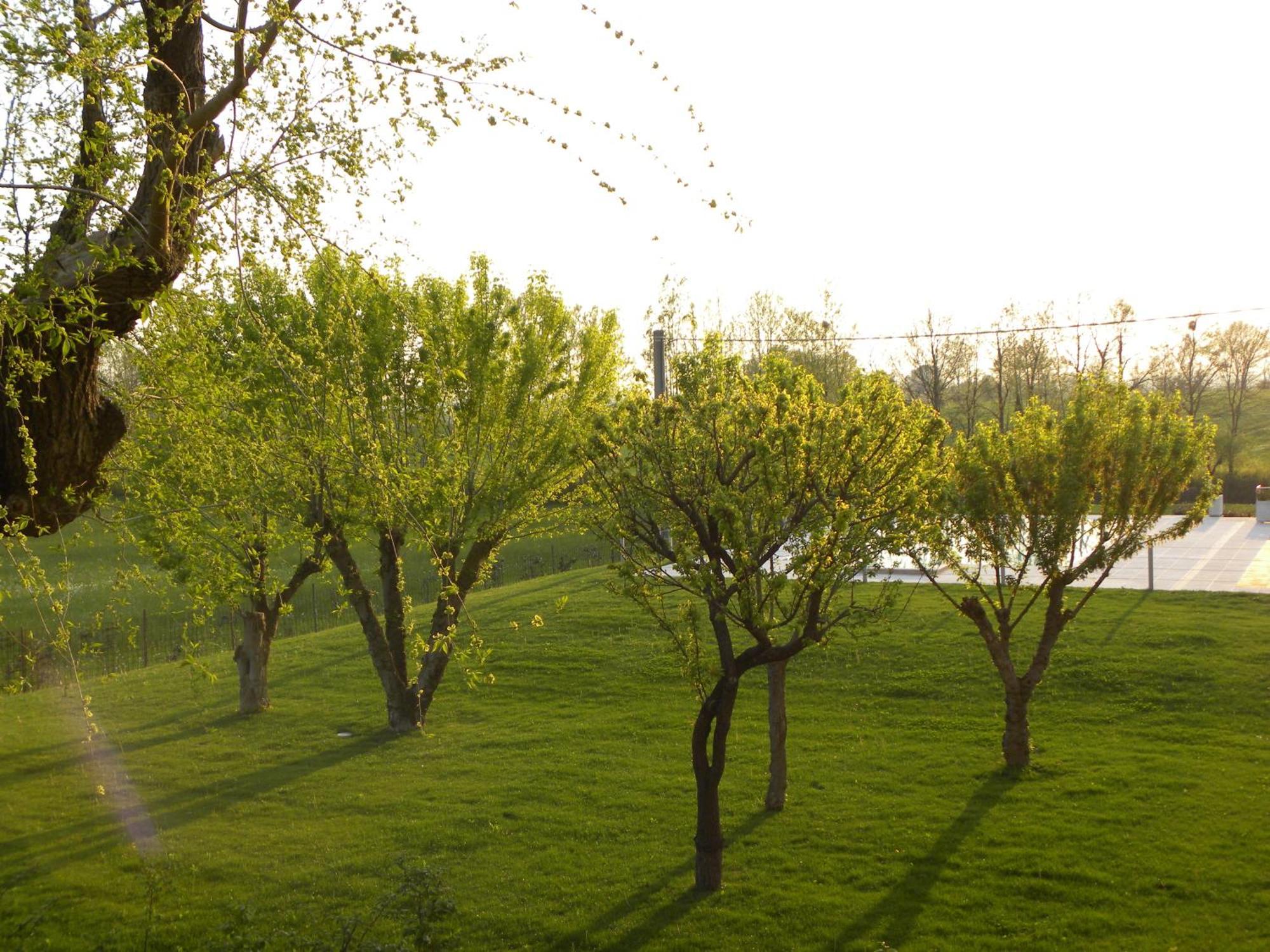 Agriturismo Feliciana Поццоленґо Екстер'єр фото